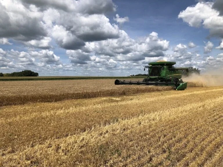a green combine harvester works in a large wheat field under a partly cloudy sky